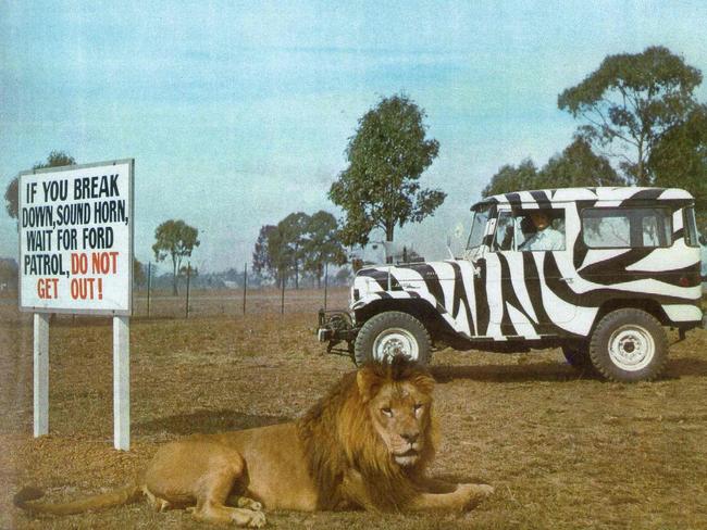 Bullen’s African Lion Safari Park near the Gold Coast.