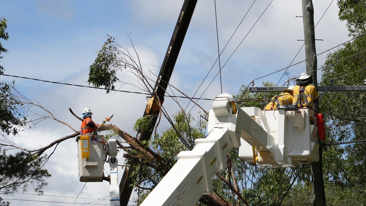 Energex workers cutting tree branches on the Gold Coast after Cyclone Alfred.