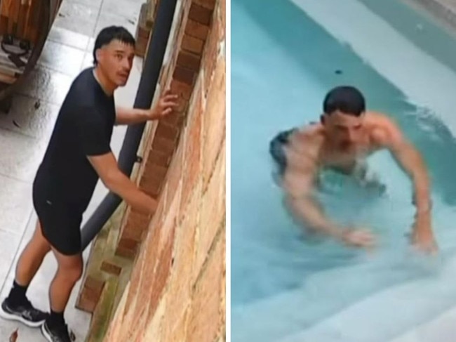 A man has provided an unusual reason for taking a tip in a stranger's pool.