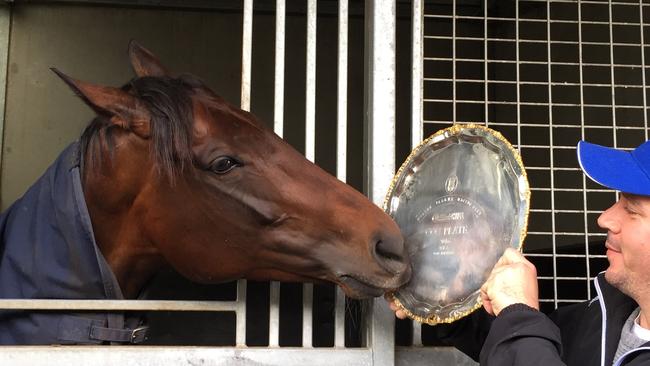 Two-time Cox Plate champion Winx checks out her latest silverware with strapper Umut Odemislioglu at her Flemington stable. Picture: AAP Image