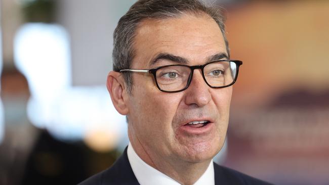 South Australian Premier Steven Marshall has vowed to keep SA borders open for Christmas. Picture: NCA NewsWire/David Mariuz