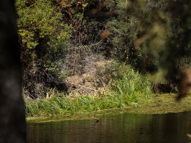 The spot next to the Georges River where it's believed the fire jumped the river and spread towards Menai. Picture: Julian Andrews