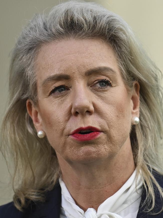 Coalition Infrastructure spokeswoman Senator Bridget McKenzie has accused Labor of incompetence over the slow funding. Picture: NCA NewsWire / Martin Ollman