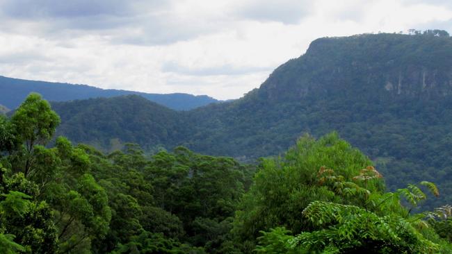 Arthur Freeman Lookout Picture: Connecting Southern Gold Coast