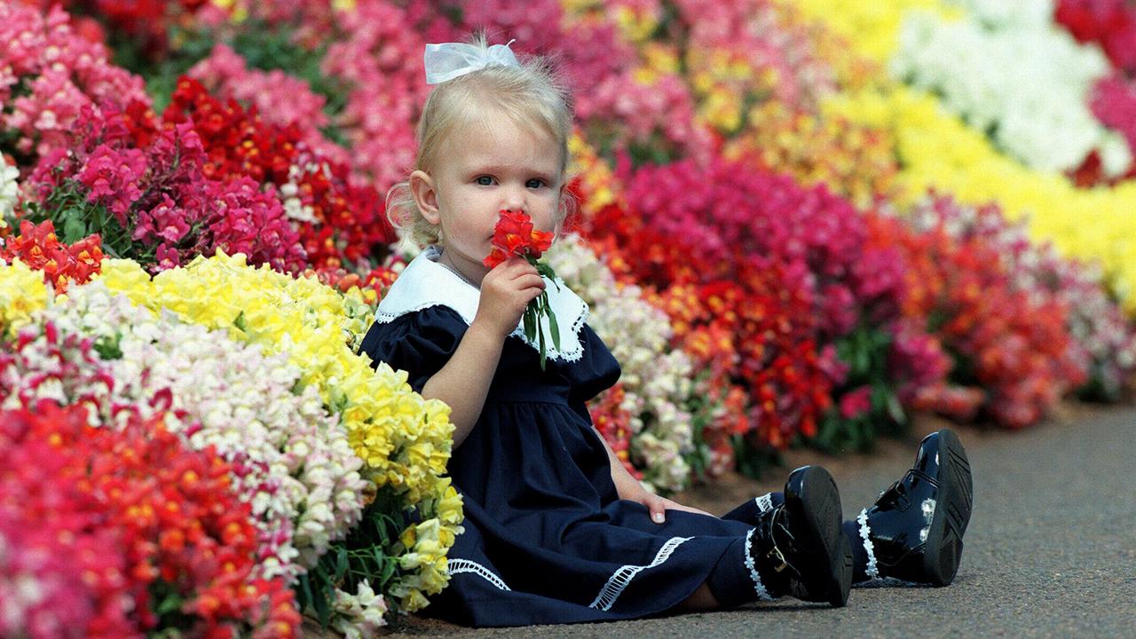 Toowoomba Carnival Of Flowers - Alexandra Gardiner (2) smelling flowers. pic jamie/hanson children qld gardening blooms plants