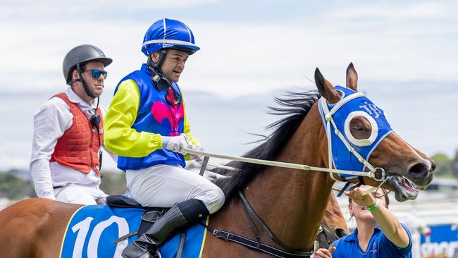 Manoel Nunes returns to scale aboard Vintage Star at Morphettville. Picture: Makoto Kaneko