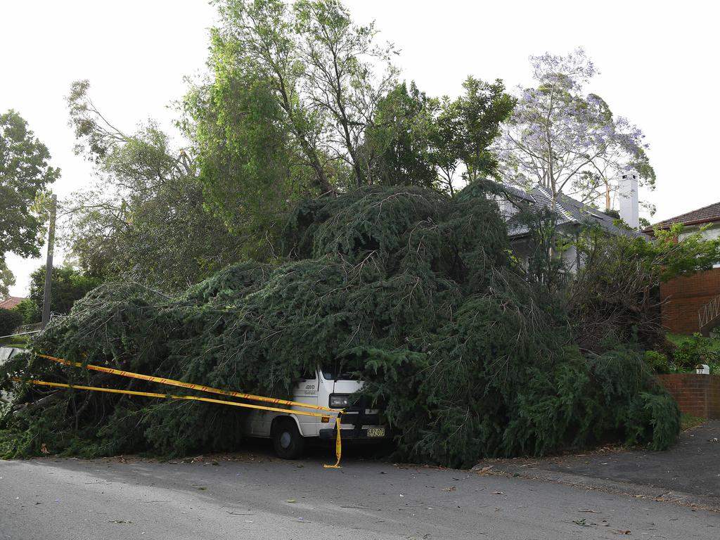 A car is obscured by a fallen tree in Gordon, north of Sydney, Tuesday, November 26, 2019. A severe fast moving thunderstorm has passed over Sydney resulting in fallen trees and downed power lines in several Sydney suburbs. (AAP Image/Dan Himbrechts)