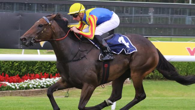 Smart mare Po Kare Kare has trialled well ahead of her return at Randwick on Saturday. Picture: Grant Guy