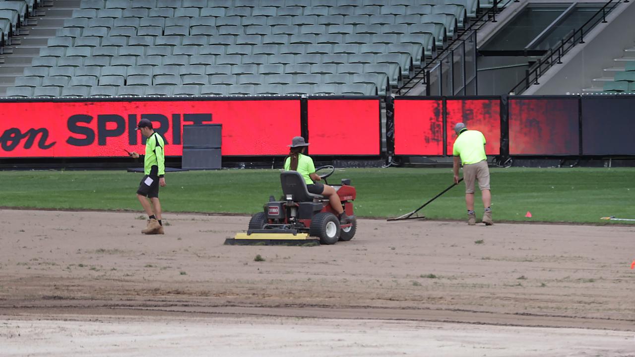 How the MCG turf looked on March 7. Picture: David Caird