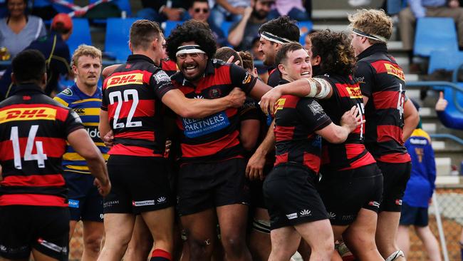 Norths celebrating their win over Sydney Uni to book their elimination finals spot. Pic: Karen Watson