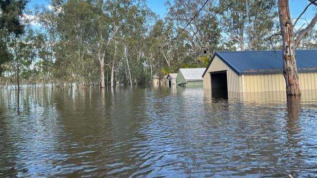 River Murray Flood at Beaumonts near Morgan, 5th Dec 2022. Picture: Mel Tunks