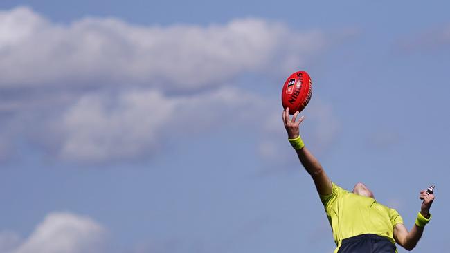 An umpire throws the ball back into play. Picture: Michael Dodge