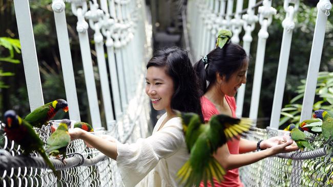 The Lory Loft aviary. Picture: Wildlife Reserves Singapore