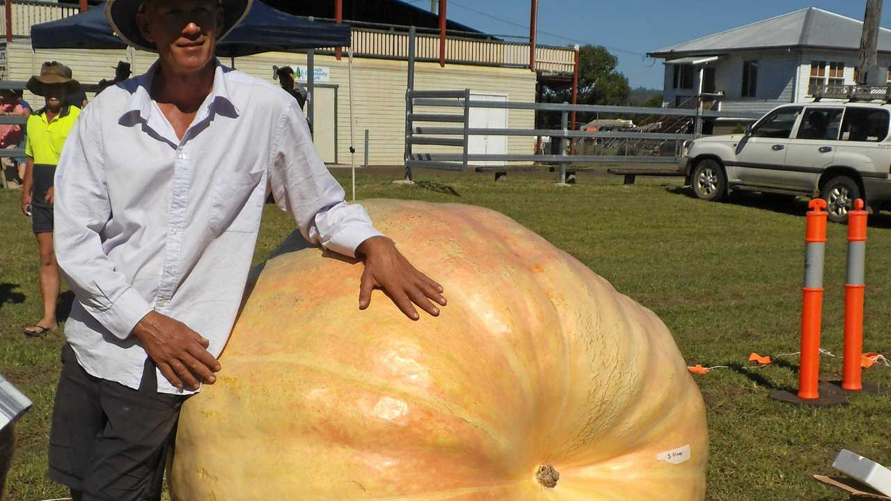 Popular giant pumpkin competition will return to its roots Daily