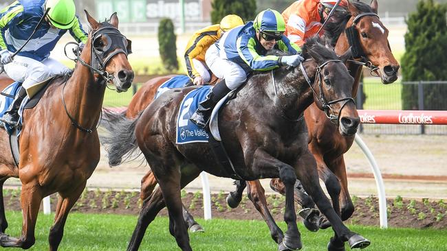 Floating Artist has been well back to win the Hawkesbury Cup. Picture: Getty Images