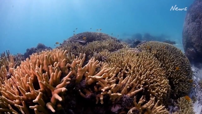 Diving 100 sites on the Great Barrier Reef