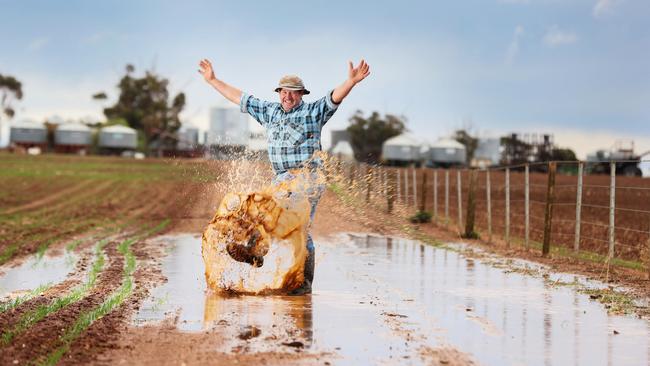 Michael Doering, who farms at Truro and Dutton, has had 16 to 24mm of rain at his family farms. Picture: Tait Schmaal