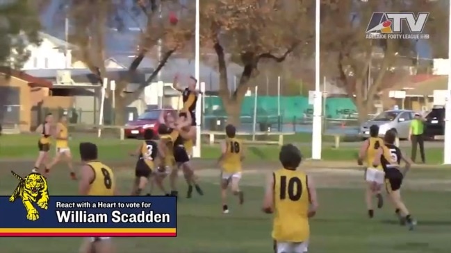 Adelaide Footy League Round 13 Marks of the Week