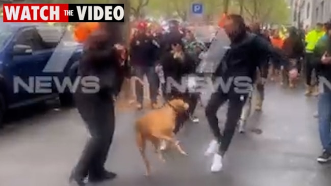 Dog kicked at CFMEU protest