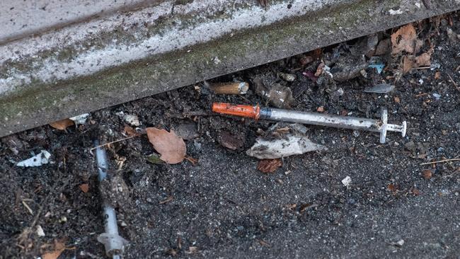 Councillor Sarah Carter said drug users leave syringes and “human faeces” in the streets of Richmond. Picture: Jason Edwards