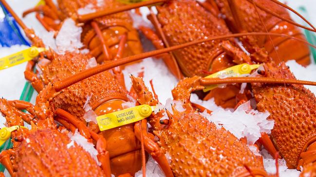 Cooked lobster at Sydney Fish Markets. Picture: Supplied