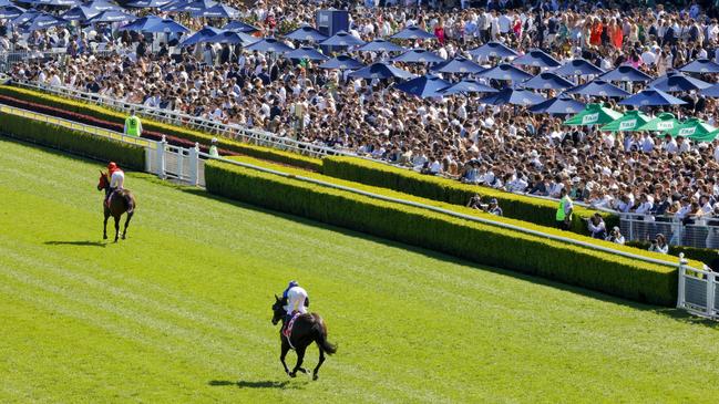 The big race is just one sleep away. (Photo by Jenny Evans/Getty Images)