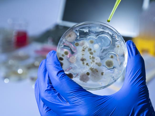 There are reports that South Korea’s military have yet to build up enough stocks of the anthrax vaccine. Picture: iStock