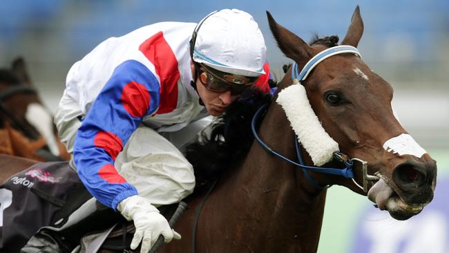 Mosheen is among 81 horses who could be stripped of prizemoney.