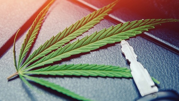 The state government is assessing whether to relax the road rules to allow cannabis users to drive despite a NSW decision rejecting the plan.