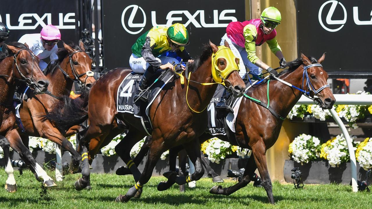 Knight’s Choice wins 2024 Group 1 Melbourne Cup at Flemington news