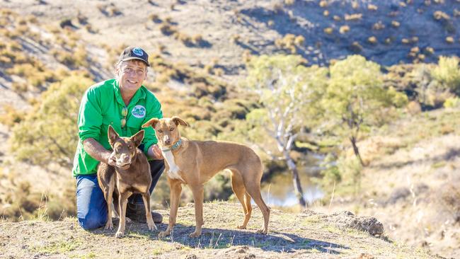 Michael De Kort on his farm with his sheep dogs kelpies Tilly and Honey. Picture: Zoe Phillips