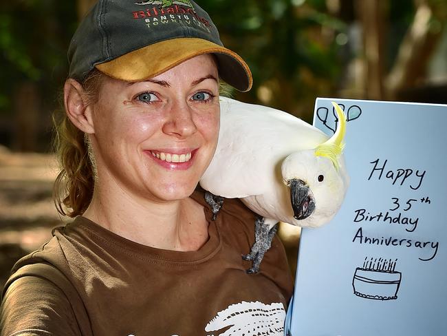 Billabong Sanctuary Ranger Jessica Murphy with 65 year old Sulphur-crested Cockatoo Jacko who was the first resident at the Sanctuary 35 years ago. Picture: Shae Beplate.