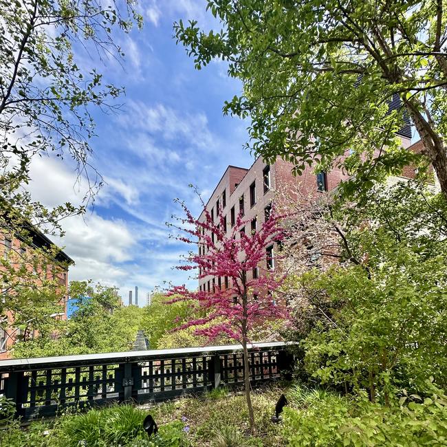 The High Line in New York. Picture: Milanda Rout