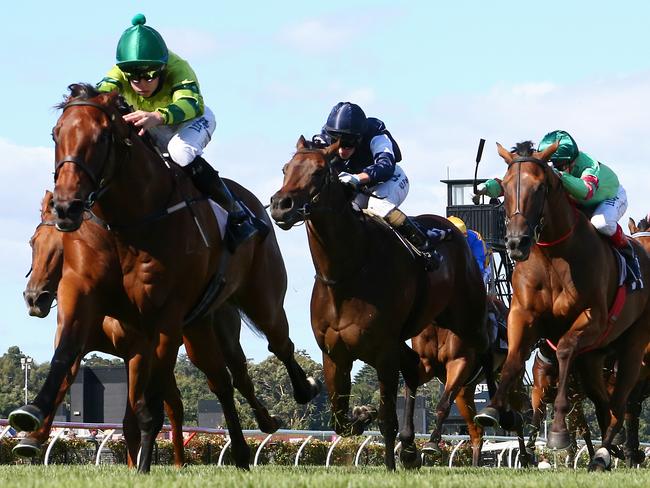 Dan Zephyr, ridden by Michael Dee, gets the better of his rivals at Flemington on February 20. Picture: George Salpigtidis