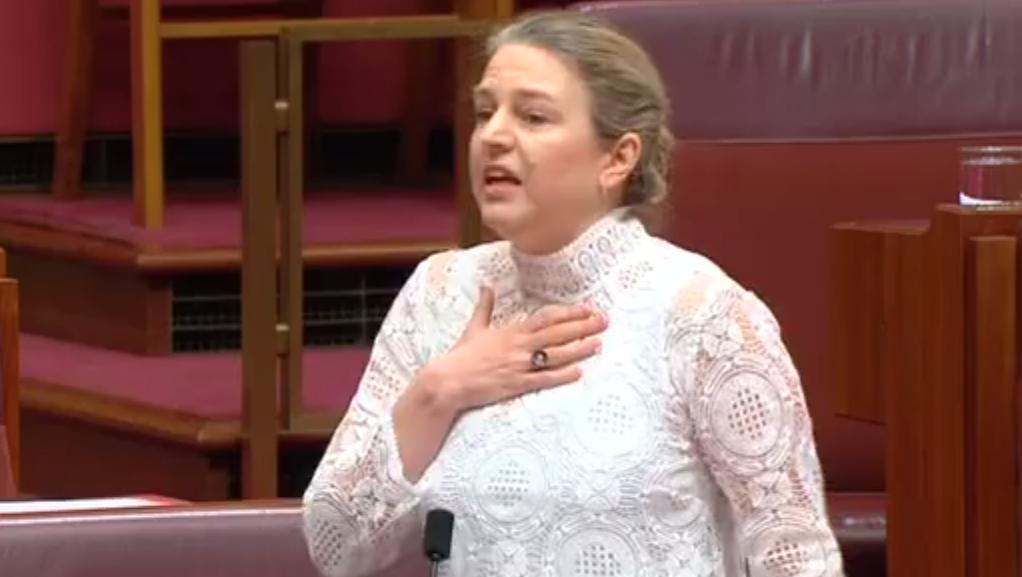 Gay Senator Recounts Reading 'Hurtful' Pamphlet Against Same-Sex Marriage. Credit - Australian Parliament House via Storyful