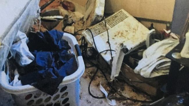 A court heard the Ipswich woman Sarah Milford’s animals were living in a confined room, while other dogs were roaming free in the house with faeces and urine seen throughout the house.