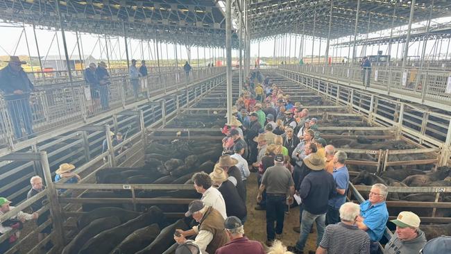 The crowd at the Mortlake weaner sale on Thursday.