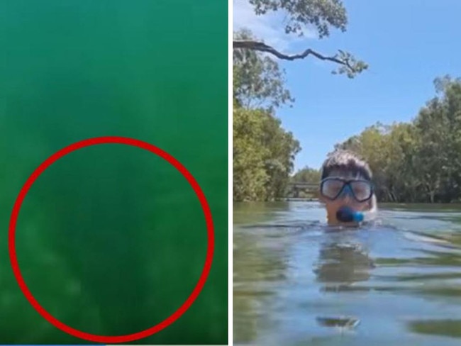 A Queensland mum spotted a three metre crocodile in her family’s video. Picture: 7News