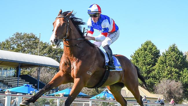 Layeruponlayer can bounce back from a narrow defeat when he heads to Sandown on Wednesday. Picture: Racing Photos via Getty Images