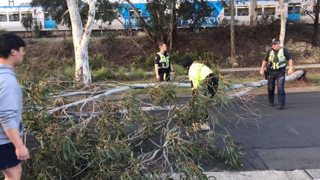 A tree was brought down by a truck on Brunswick Rd, Mitcham.