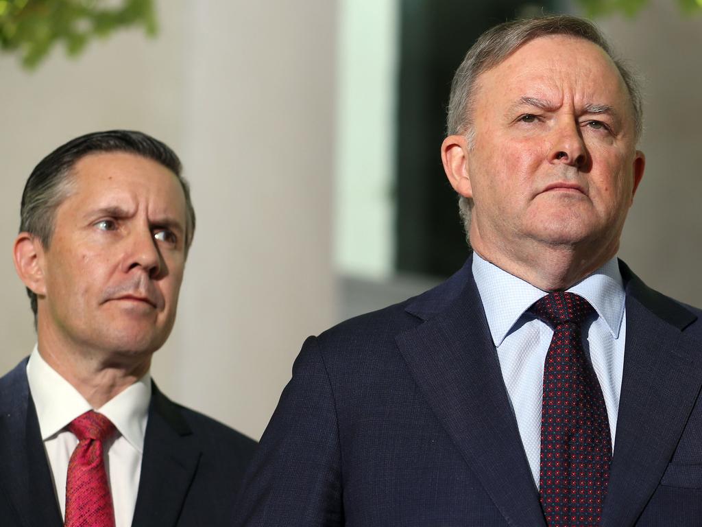 Mr Albanese said he and Mark Butler agreed on the change. Picture Gary Ramage