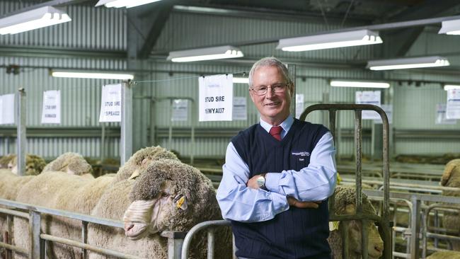 Merino producer Tom Silcock from Telangatuk East. Picture: Dannika Bonser