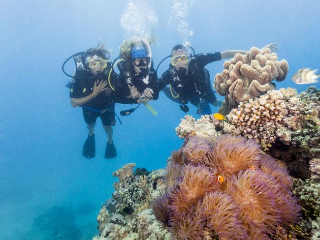 The Great Barrier Reef has attracted more than 800,000 visitors in 12 months. Picture: Tourism and Events Queensland.