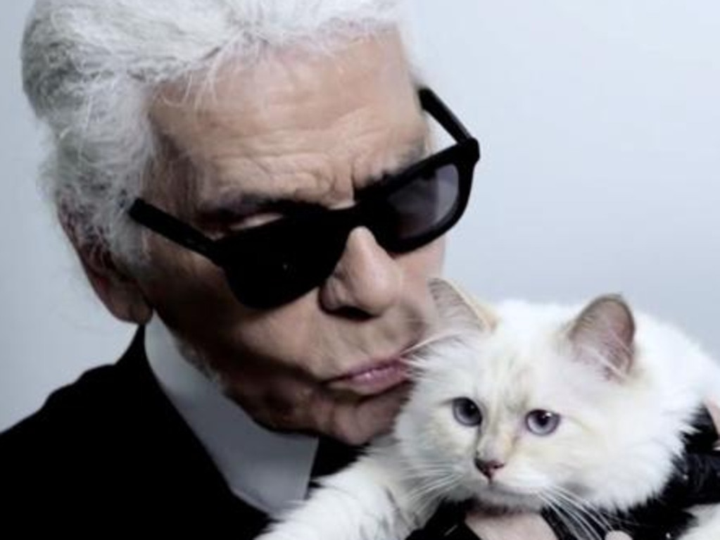 Karl Lagerfeld was besotted with his cat, Choupette. 