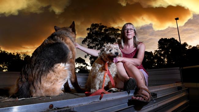 Emma McArthur from Jupiter Creek evacuated to Echunga Oval with dogs Missy (German Shepherd) and Dusty. Picture: Tricia Watkinson