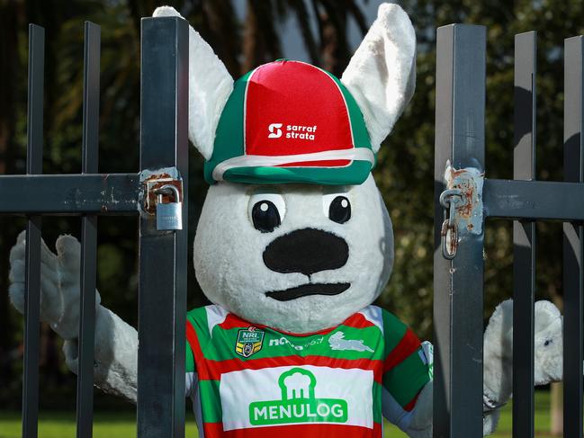 RABBITOHS Reggie Rabbit, locked out of Redfern Oval, today, due to the coronavirus crisis. Picture:Justin Lloyd