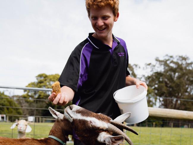 Feeding the goats at Coen’s Farm Fresh at Lakes Entrance.