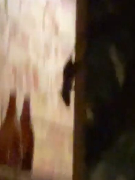 Vision of a rodent upstairs at Beach Burrito at Glenelg on Monday last week. Picture: Seven News