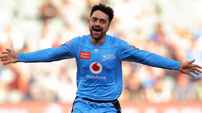 Rashid Khan is a hometown hero in Adelaide.