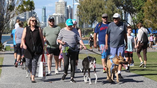 The Gold Coast is known for loving its pets. Pic Mike Batterham.